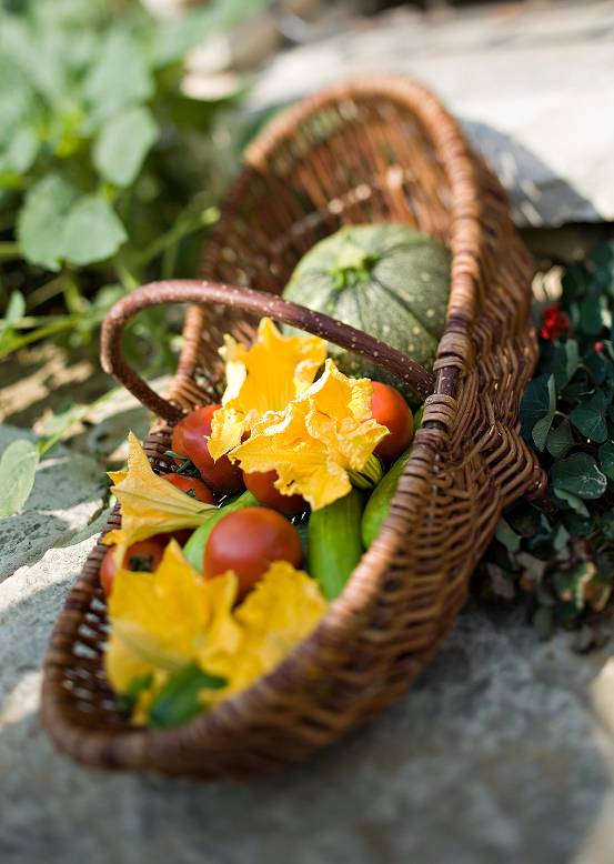 légumes de saison