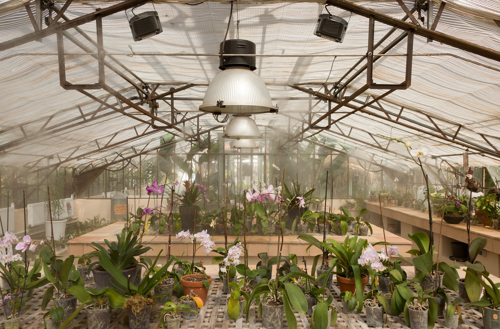 Serre aux orchidées