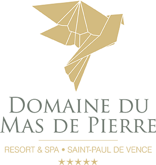 Logo domaine du mas de pierre